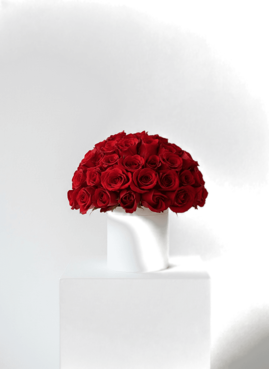 The Classic Rose — composed by Taylor Breshears Studio