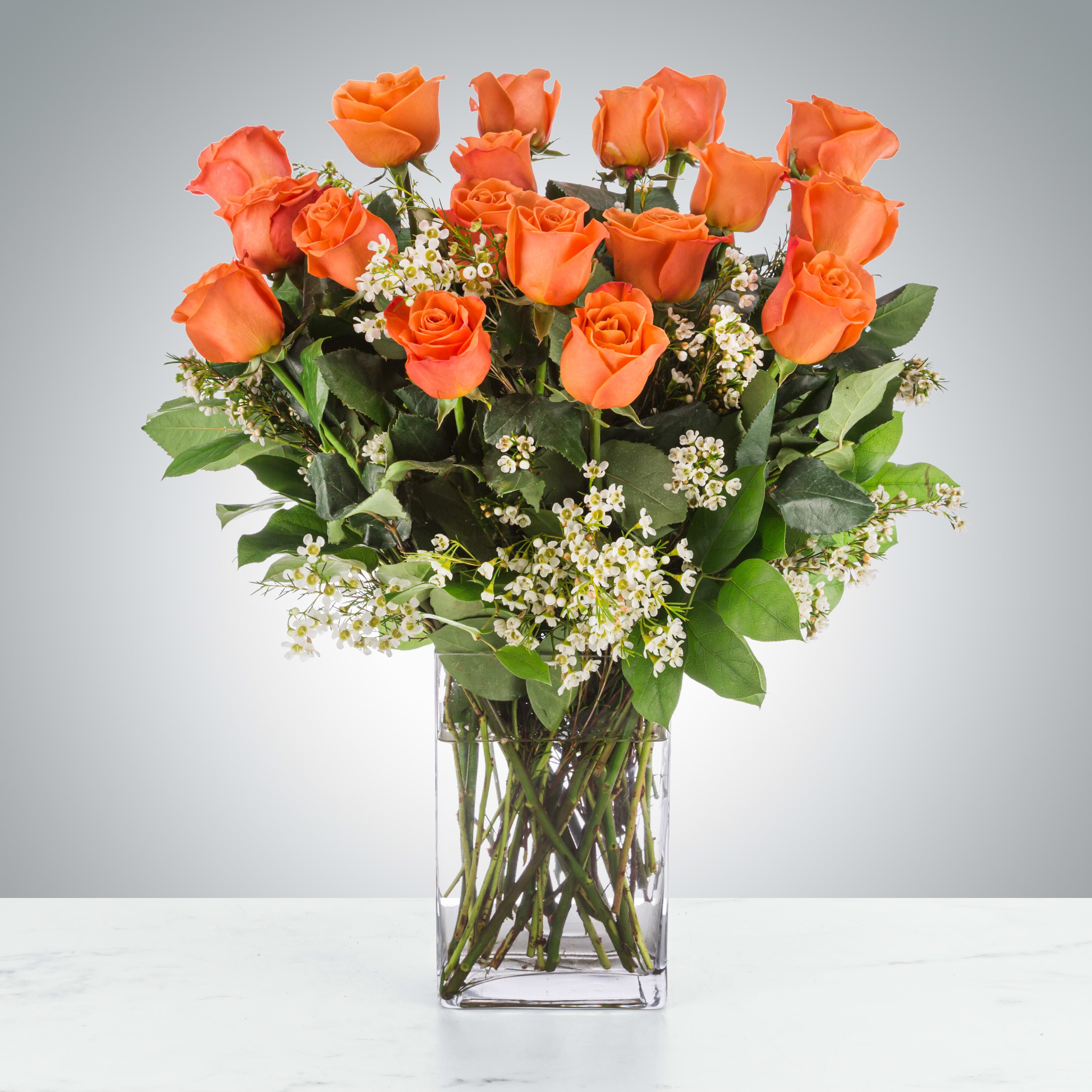 Long Stem Coral Roses — composed by Les Fleur Company