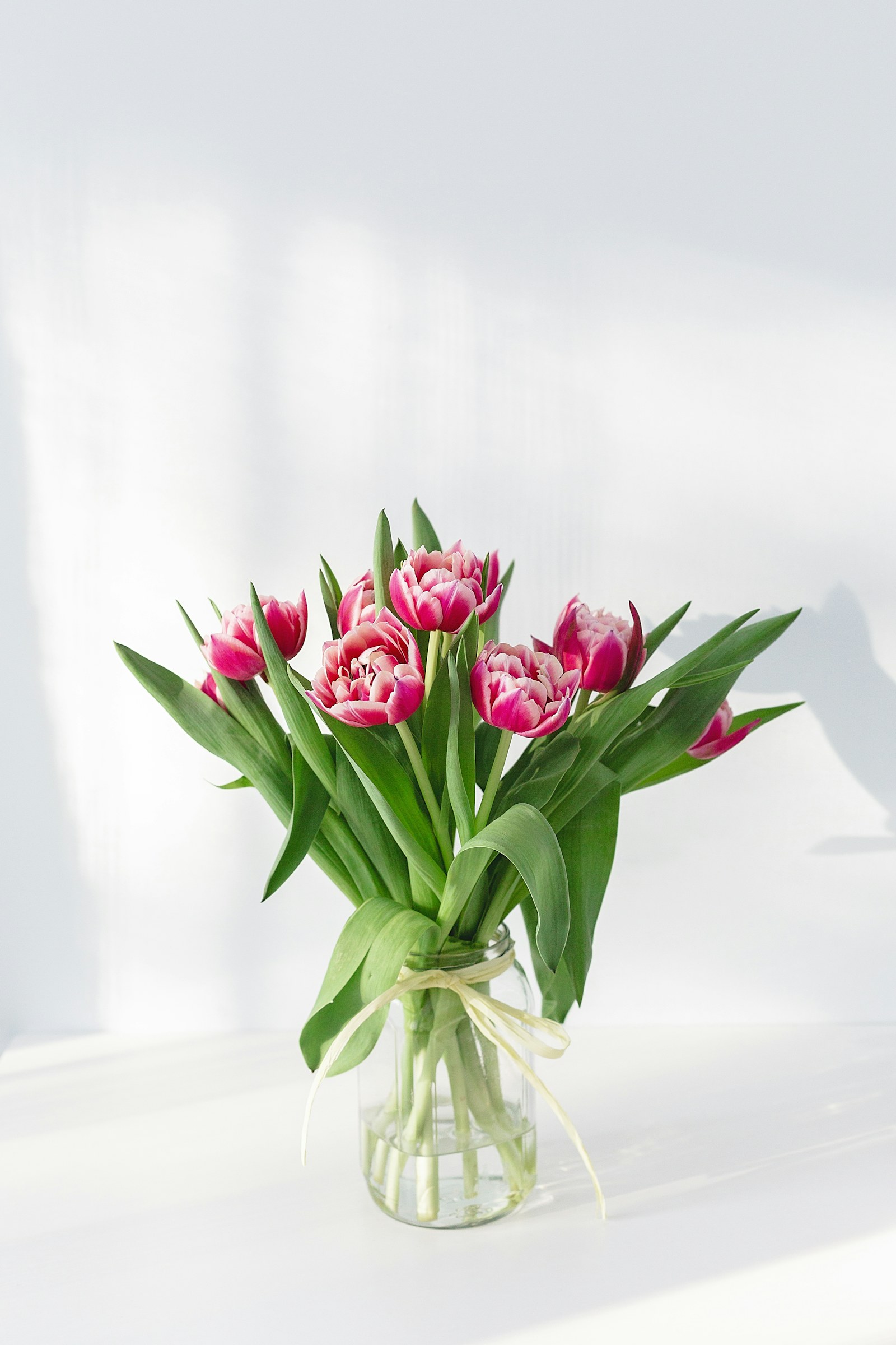 The Composition of a Single Peony: When One Stem Is the Arrangement